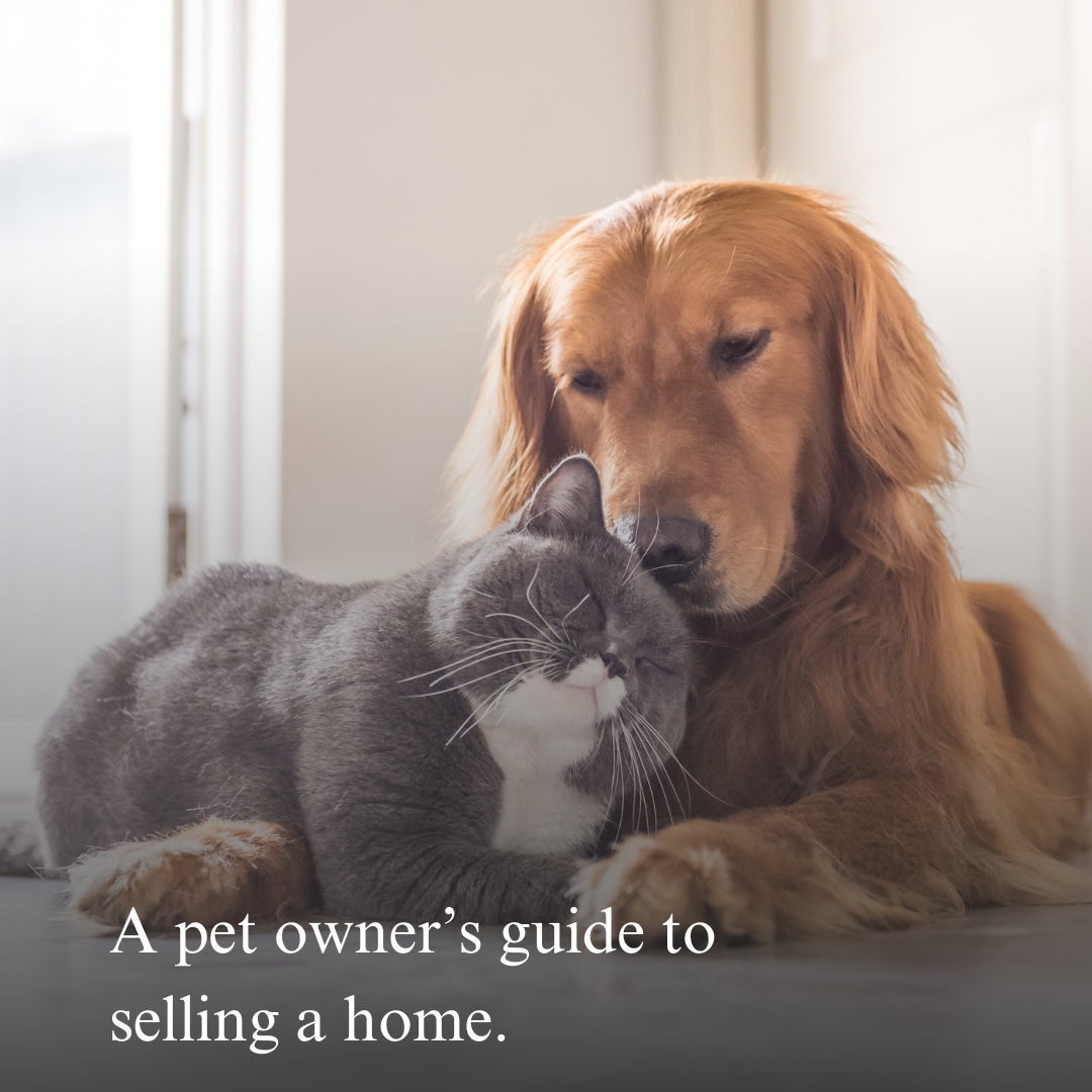 A Pet Owner's Guide To Selling A Home